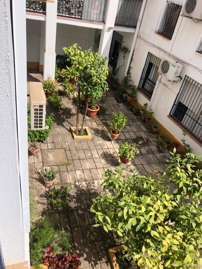 סביליה Apartamento Plaza Santa Lucia Renovado Febrero 2025 מראה חיצוני תמונה
